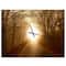 Designart Path To Sunlight In Autumn Forest Rectangular Wall Clock